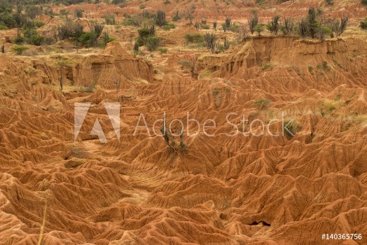 Picture of Tatacoa Wste in Kolumbien